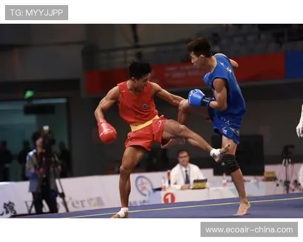 帕梅拉斯与博塔佛激战正酣谁能在这场对决中笑到最后